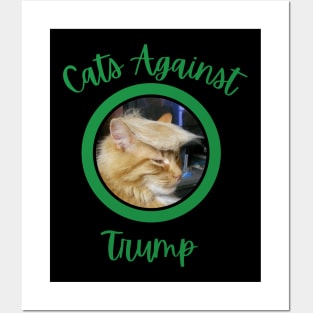 Funny Cats Anti-Trump - Cats Against Trump 1 Posters and Art